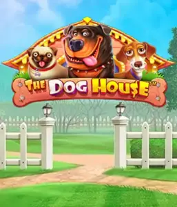 From Pragmatic Play comes The Dog House, offering a fun-filled experience through playful pups. Discover gameplay elements such as multipliers, perfect for delivering joyful moments. Perfect for those who enjoy a cheerful atmosphere alongside lucrative rewards.