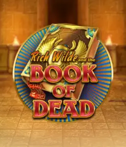 Enter the thrilling world of Book of Dead by Play'n GO, presenting vivid graphics of Rich Wilde's journey through ancient Egyptian tombs and artifacts. Uncover lost riches with exciting mechanics like free spins, expanding icons, and a gamble option. Ideal for adventure seekers with a desire for thrilling discoveries.