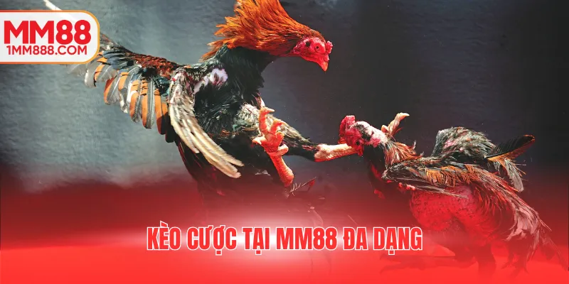 Kèo cược tại MM88 đa dạng