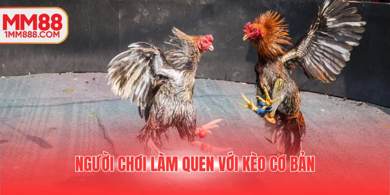 Người chơi làm quen với kèo cơ bản