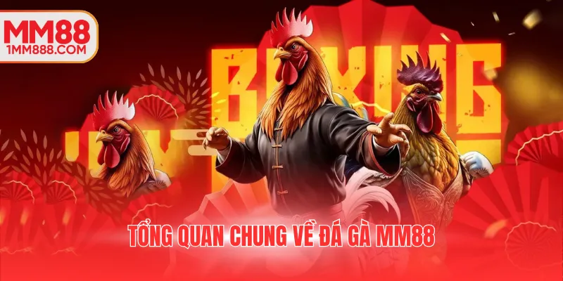 Tổng quan chung về đá gà MM88